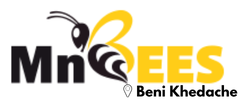 MnBees Médenine - Beni Khedache